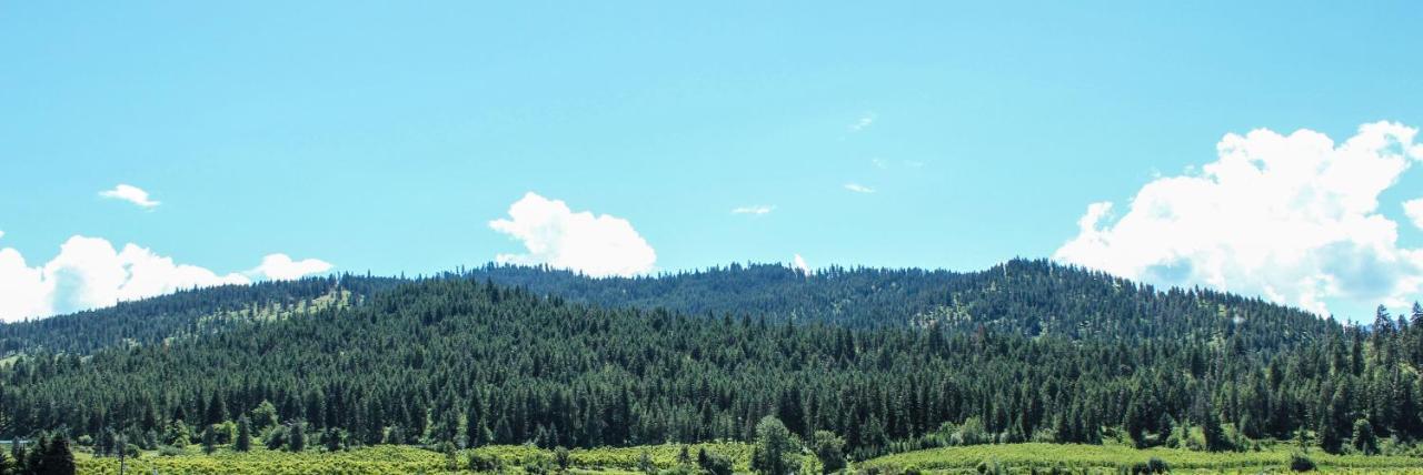 Wedge Mountain Inn Peshastin Zewnętrze zdjęcie